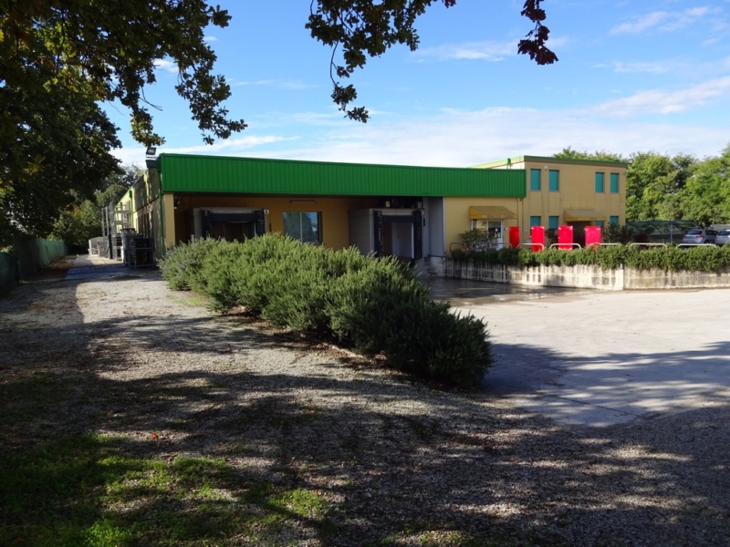 Capannone in vendita Santa Giustina in Colle PD Veneto Hypo Vorarlberg Immo Italia