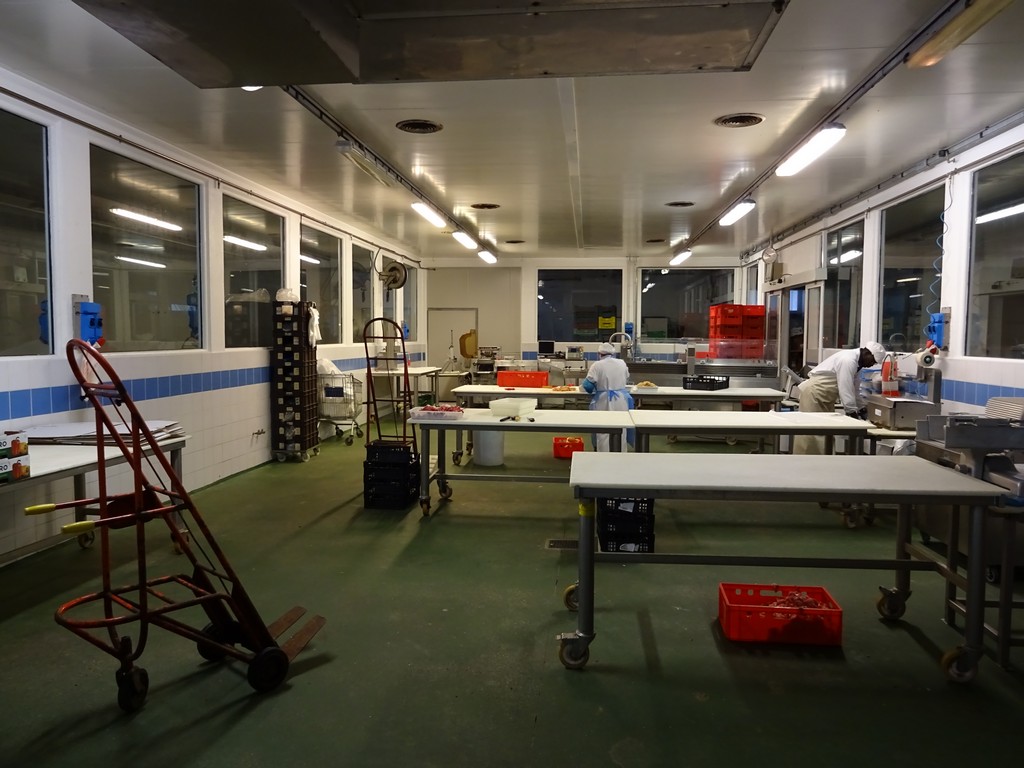 Capannone in vendita Santa Giustina in Colle PD Veneto Hypo Vorarlberg Immo Italia spazio produttivo