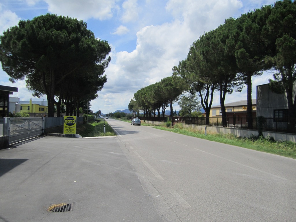 Capannone in vendita Due Carrare PD Veneto Hypo Vorarlberg Immo Italia vista strada